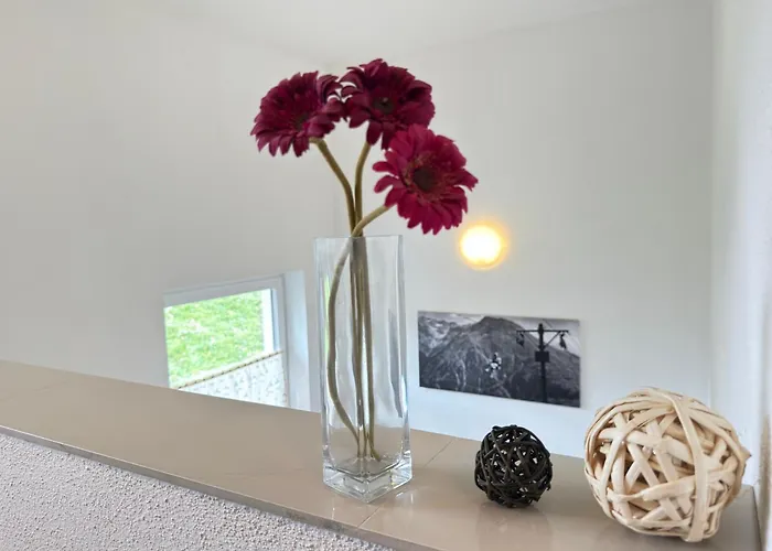 公寓 Haus Pia By A Casa