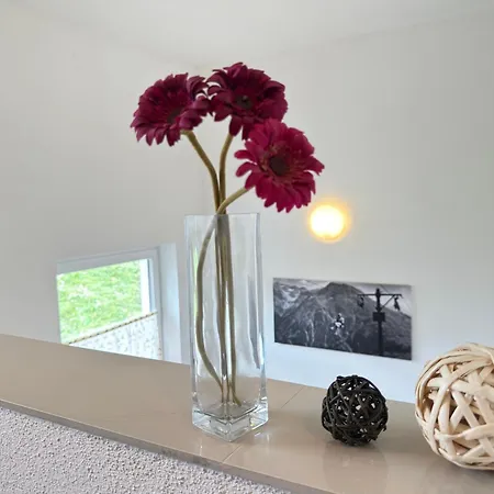 公寓 Haus Pia By A Casa